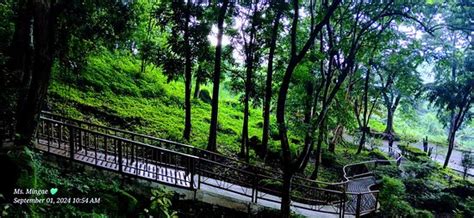 THE 10 CLOSEST Hotels to Angono Petroglyphs .